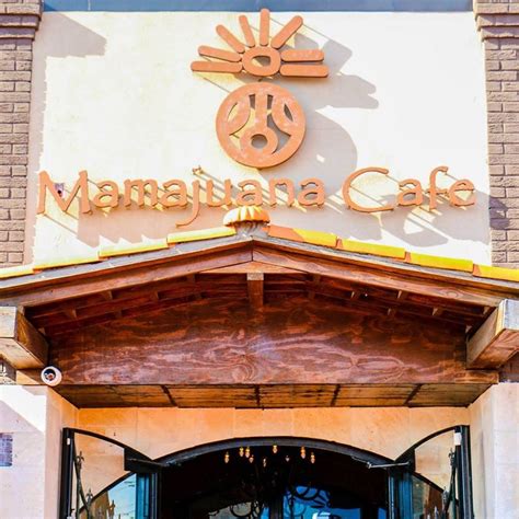 Mamajuana cafe  You will be offered delicious Mojitos, wine or liqueur